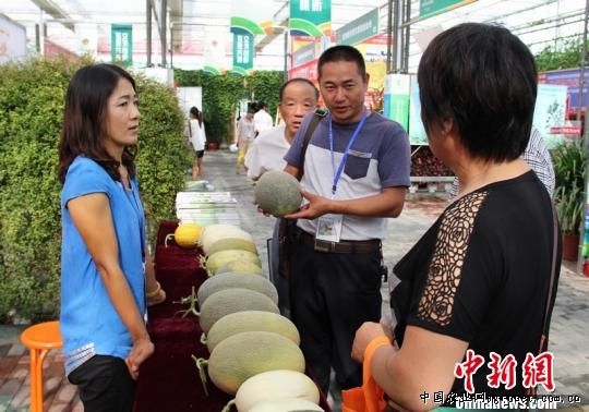 黄蜀葵种子多少钱一公斤?