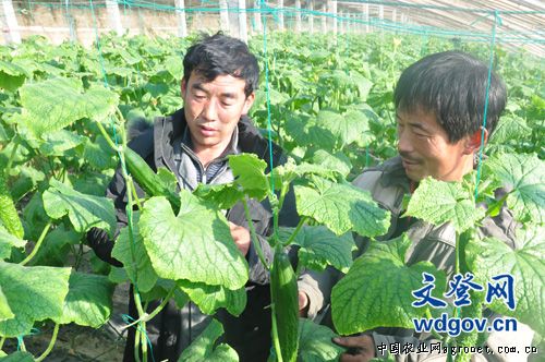 云南龙陵县种子站强化经营户培训　促县内种子市场安全