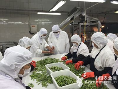 辣椒市场价多少钱一斤