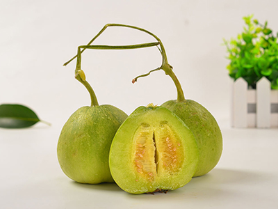 如何种植青瓜