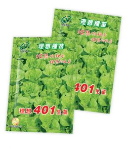 供应理想401生菜—叶菜类种子