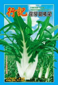 供应行记花芽甜麦菜-甜麦菜种子