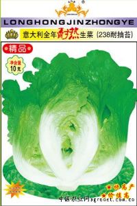 供应意大利全年耐热生菜（238耐抽苔）—莴苣种子