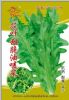 供应花叶甜脆油麦菜——油麦菜种子