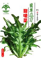 供应翡翠花芽甜唛菜—甜唛菜种子