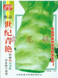 供应“啸龙银”极品世纪青艳—莴苣种子